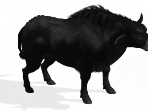 SCARICA MODELLO 3D BUFALO - MODELLO 3D ANIMATO - CAPRA TORO MUCCA - CAPRA TORO MUCCA Modello 3D