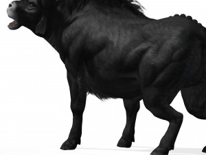 DOWNLOAD BUFFALO 3D MODEL - 3D MODEL ANIMATED - GOAT BULL COW - GOAT BULL COW 3D Модель