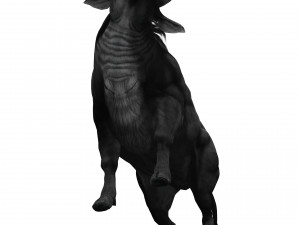 DOWNLOAD BUFFALO 3D MODEL - 3D MODEL ANIMATED - GOAT BULL COW - GOAT BULL COW 3D Модель