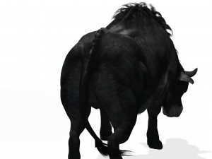 DOWNLOAD BUFFALO 3D MODEL - 3D MODEL ANIMATED - GOAT BULL COW - GOAT BULL COW 3D Модель