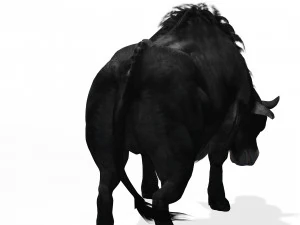 SCARICA MODELLO 3D BUFALO - MODELLO 3D ANIMATO - CAPRA TORO MUCCA - CAPRA TORO MUCCA Modello 3D