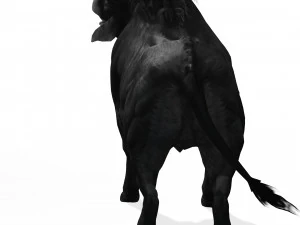 SCARICA MODELLO 3D BUFALO - MODELLO 3D ANIMATO - CAPRA TORO MUCCA - CAPRA TORO MUCCA Modello 3D