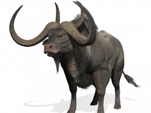 DOWNLOAD BUFFALO 3D MODEL - 3D MODEL ANIMATED - GOAT BULL COW GOAT - BULL COW GOAT BULL COW 3D मॉडल