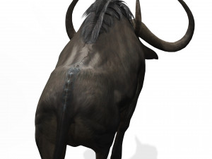 DOWNLOAD BUFFALO 3D MODEL - 3D MODEL ANIMATED - GOAT BULL COW GOAT - BULL COW GOAT BULL COW 3D मॉडल
