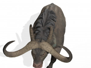 DOWNLOAD BUFFALO 3D MODEL - 3D MODEL ANIMATED - GOAT BULL COW GOAT - BULL COW GOAT BULL COW 3D मॉडल