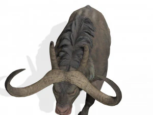 SCARICA MODELLO 3D BUFALO - MODELLO 3D ANIMATO - CAPRA TORO MUCCA CAPRA - TORO MUCCA CAPRA TORO MUCCA Modello 3D