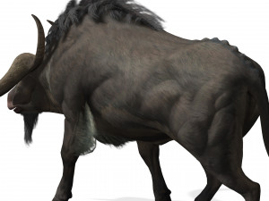 DOWNLOAD BUFFALO 3D MODEL - 3D MODEL ANIMATED - GOAT BULL COW GOAT - BULL COW GOAT BULL COW 3D मॉडल