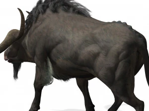 SCARICA MODELLO 3D BUFALO - MODELLO 3D ANIMATO - CAPRA TORO MUCCA CAPRA - TORO MUCCA CAPRA TORO MUCCA Modello 3D