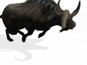 DOWNLOAD BUFFALO 3D MODEL - 3D MODEL ANIMATED - GOAT BULL COW GOAT - BULL COW GOAT BULL COW 3D मॉडल