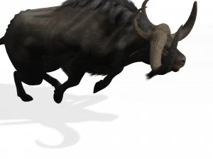 SCARICA MODELLO 3D BUFALO - MODELLO 3D ANIMATO - CAPRA TORO MUCCA CAPRA - TORO MUCCA CAPRA TORO MUCCA Modello 3D