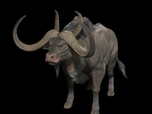 DOWNLOAD BUFFALO 3D MODEL - 3D MODEL ANIMATED - GOAT BULL COW GOAT - BULL COW GOAT BULL COW 3D मॉडल