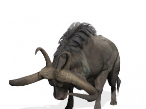 DOWNLOAD BUFFALO 3D MODEL - 3D MODEL ANIMATED - GOAT BULL COW GOAT - BULL COW GOAT BULL COW 3D मॉडल