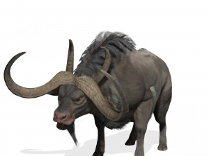 DOWNLOAD BUFFALO 3D MODEL - 3D MODEL ANIMATED - GOAT BULL COW GOAT - BULL COW GOAT BULL COW 3D मॉडल