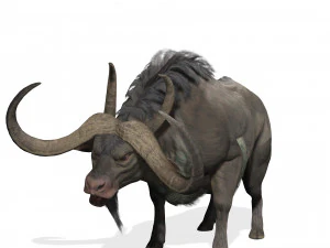 SCARICA MODELLO 3D BUFALO - MODELLO 3D ANIMATO - CAPRA TORO MUCCA CAPRA - TORO MUCCA CAPRA TORO MUCCA Modello 3D
