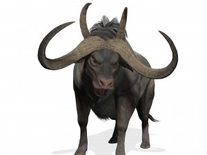 DOWNLOAD BUFFALO 3D MODEL - 3D MODEL ANIMATED - GOAT BULL COW GOAT - BULL COW GOAT BULL COW 3D मॉडल