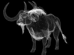 DOWNLOAD BUFFALO 3D MODEL - 3D MODEL ANIMATED - GOAT BULL COW GOAT - BULL COW GOAT BULL COW 3D मॉडल