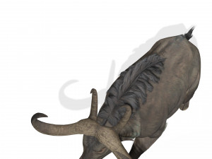 DOWNLOAD BUFFALO 3D MODEL - 3D MODEL ANIMATED - GOAT BULL COW GOAT - BULL COW GOAT BULL COW 3D मॉडल