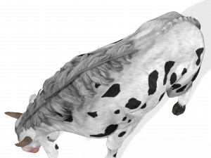 DOWNLOAD BUFFALO 3D MODEL - 3D MODEL ANIMATED - FOR 3DS MAX - BUFFALO - GOAT - BUFFALO 3D Модель