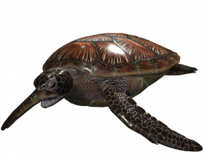 DOWNLOAD TORTOISE TURTLE POKMON TURTLE DOWNLOAD TURTLE 3D MODEL RIGGED TURTLE REPTILE DINOSAUR Modelo 3D