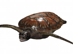 DOWNLOAD TORTOISE TURTLE POKMON TURTLE DOWNLOAD TURTLE 3D MODEL RIGGED TURTLE REPTILE DINOSAUR Modelo 3D