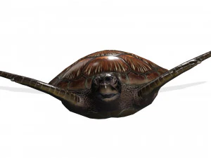 DOWNLOAD TORTOISE TURTLE POKMON TURTLE DOWNLOAD TURTLE 3D MODEL RIGGED TURTLE REPTILE DINOSAUR 3D Model