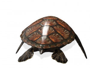 DOWNLOAD TORTOISE TURTLE POKMON TURTLE DOWNLOAD TURTLE 3D MODEL RIGGED TURTLE REPTILE DINOSAUR Modelo 3D