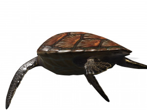 DOWNLOAD TORTOISE TURTLE POKMON TURTLE DOWNLOAD TURTLE 3D MODEL RIGGED TURTLE REPTILE DINOSAUR Modelo 3D