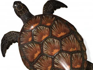 DOWNLOAD TORTOISE TURTLE POKMON TURTLE DOWNLOAD TURTLE 3D MODEL RIGGED TURTLE REPTILE DINOSAUR 3D Model