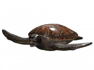 DOWNLOAD TORTOISE TURTLE POKMON TURTLE DOWNLOAD TURTLE 3D MODEL RIGGED TURTLE REPTILE DINOSAUR Modelo 3D