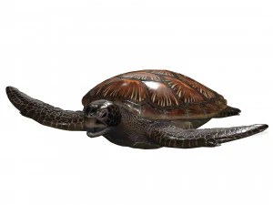 DOWNLOAD TORTOISE TURTLE POKMON TURTLE DOWNLOAD TURTLE 3D MODEL RIGGED TURTLE REPTILE DINOSAUR 3D Model