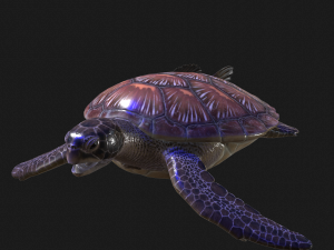 DOWNLOAD TORTOISE TURTLE POKMON TURTLE DOWNLOAD TURTLE 3D MODEL RIGGED TURTLE REPTILE DINOSAUR Modelo 3D