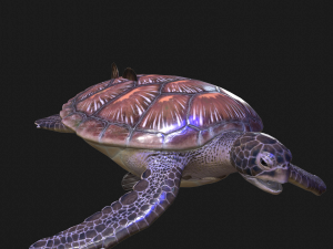 DOWNLOAD TORTOISE TURTLE POKMON TURTLE DOWNLOAD TURTLE 3D MODEL RIGGED TURTLE REPTILE DINOSAUR Modelo 3D