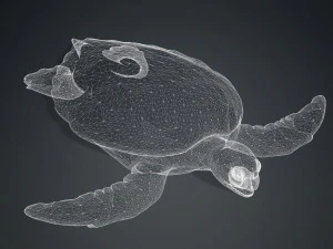 DOWNLOAD TORTOISE TURTLE POKMON TURTLE DOWNLOAD TURTLE 3D MODEL RIGGED TURTLE REPTILE DINOSAUR 3D Model