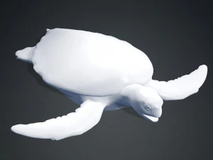 DOWNLOAD TORTOISE TURTLE POKMON TURTLE DOWNLOAD TURTLE 3D MODEL RIGGED TURTLE REPTILE DINOSAUR 3D Model