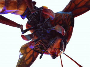 DOWNLOAD BEE 3D MODEL - ANIMATED - INSECT RAPTOR LINHERAPTOR MICRO BEE FLYING - POKMON - DRAGON - 3D 模型