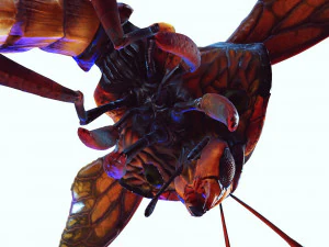 DOWNLOAD BEE 3D MODEL - ANIMATED - INSECT RAPTOR LINHERAPTOR MICRO BEE FLYING - POKMON - DRAGON - 3D Model