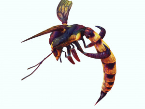 DOWNLOAD BEE 3D MODEL - ANIMATED - INSECT RAPTOR LINHERAPTOR MICRO BEE FLYING - POKMON - DRAGON - 3D 模型