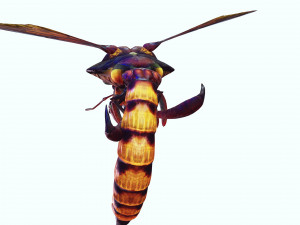 DOWNLOAD BEE 3D MODEL - ANIMATED - INSECT RAPTOR LINHERAPTOR MICRO BEE FLYING - POKMON - DRAGON - 3D 模型