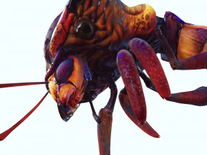 DOWNLOAD BEE 3D MODEL - ANIMATED - INSECT RAPTOR LINHERAPTOR MICRO BEE FLYING - POKMON - DRAGON - 3D Model
