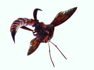 DOWNLOAD BEE 3D MODEL - ANIMATED - INSECT RAPTOR LINHERAPTOR MICRO BEE FLYING - POKMON - DRAGON - 3D 模型