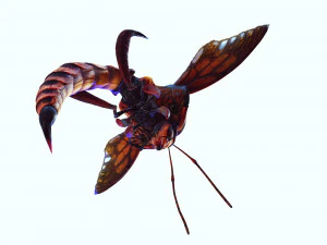 DOWNLOAD BEE 3D MODEL - ANIMATED - INSECT RAPTOR LINHERAPTOR MICRO BEE FLYING - POKMON - DRAGON - 3D Model