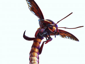 DOWNLOAD BEE 3D MODEL - ANIMATED - INSECT RAPTOR LINHERAPTOR MICRO BEE FLYING - POKMON - DRAGON - 3D 模型
