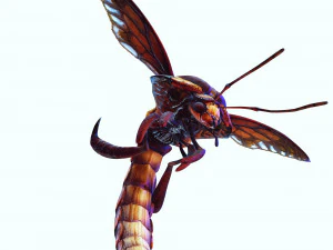 DOWNLOAD BEE 3D MODEL - ANIMATED - INSECT RAPTOR LINHERAPTOR MICRO BEE FLYING - POKMON - DRAGON - 3D Model