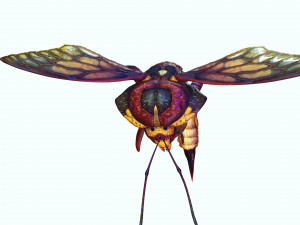DOWNLOAD BEE 3D MODEL - ANIMATED - INSECT RAPTOR LINHERAPTOR MICRO BEE FLYING - POKMON - DRAGON - 3D 模型
