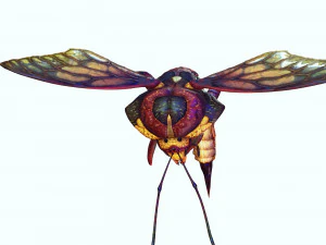 DOWNLOAD BEE 3D MODEL - ANIMATED - INSECT RAPTOR LINHERAPTOR MICRO BEE FLYING - POKMON - DRAGON - 3D Model