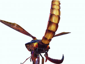 DOWNLOAD BEE 3D MODEL - ANIMATED - INSECT RAPTOR LINHERAPTOR MICRO BEE FLYING - POKMON - DRAGON - 3D 模型