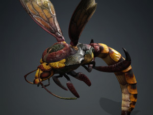 DOWNLOAD BEE 3D MODEL - ANIMATED - INSECT RAPTOR LINHERAPTOR MICRO BEE FLYING - POKMON - DRAGON - 3D 模型