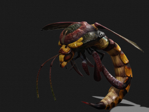 DOWNLOAD BEE 3D MODEL - ANIMATED - INSECT RAPTOR LINHERAPTOR MICRO BEE FLYING - POKMON - DRAGON - 3D 模型