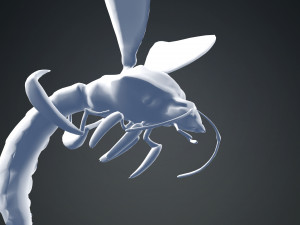 DOWNLOAD BEE 3D MODEL - ANIMATED - INSECT RAPTOR LINHERAPTOR MICRO BEE FLYING - POKMON - DRAGON - 3D 模型