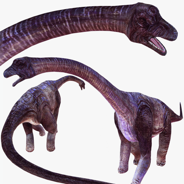 DOWNLOAD BRACHIOSAURUS 3D MODEL ANIMATED - Posterazzi Diplodocus Malawisaurus Saurisquios Camarasaur 3D Model .c4d .max .obj .3ds .fbx .stl .blend 